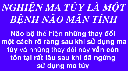 ma tuy